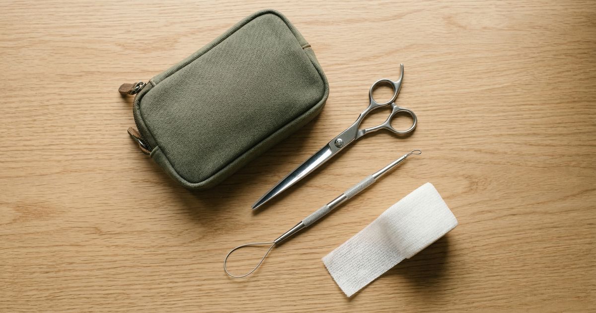 Essential Vet Kit Every UK Pet Owner Should Have at Home (2026)