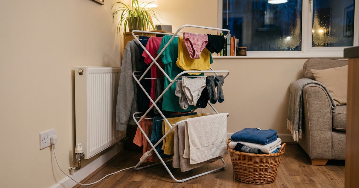 Top Laundry Solutions for UK Flat-Dwellers (2026)